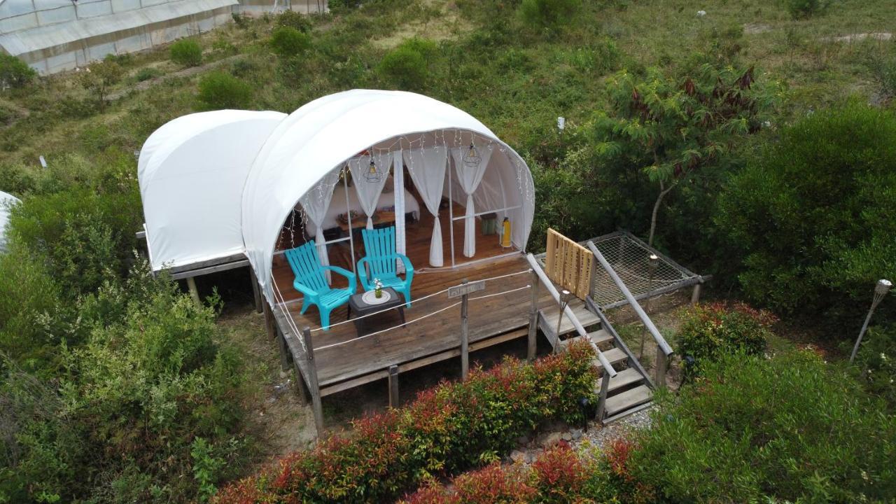 Origen Glamping En 莱瓦镇 外观 照片